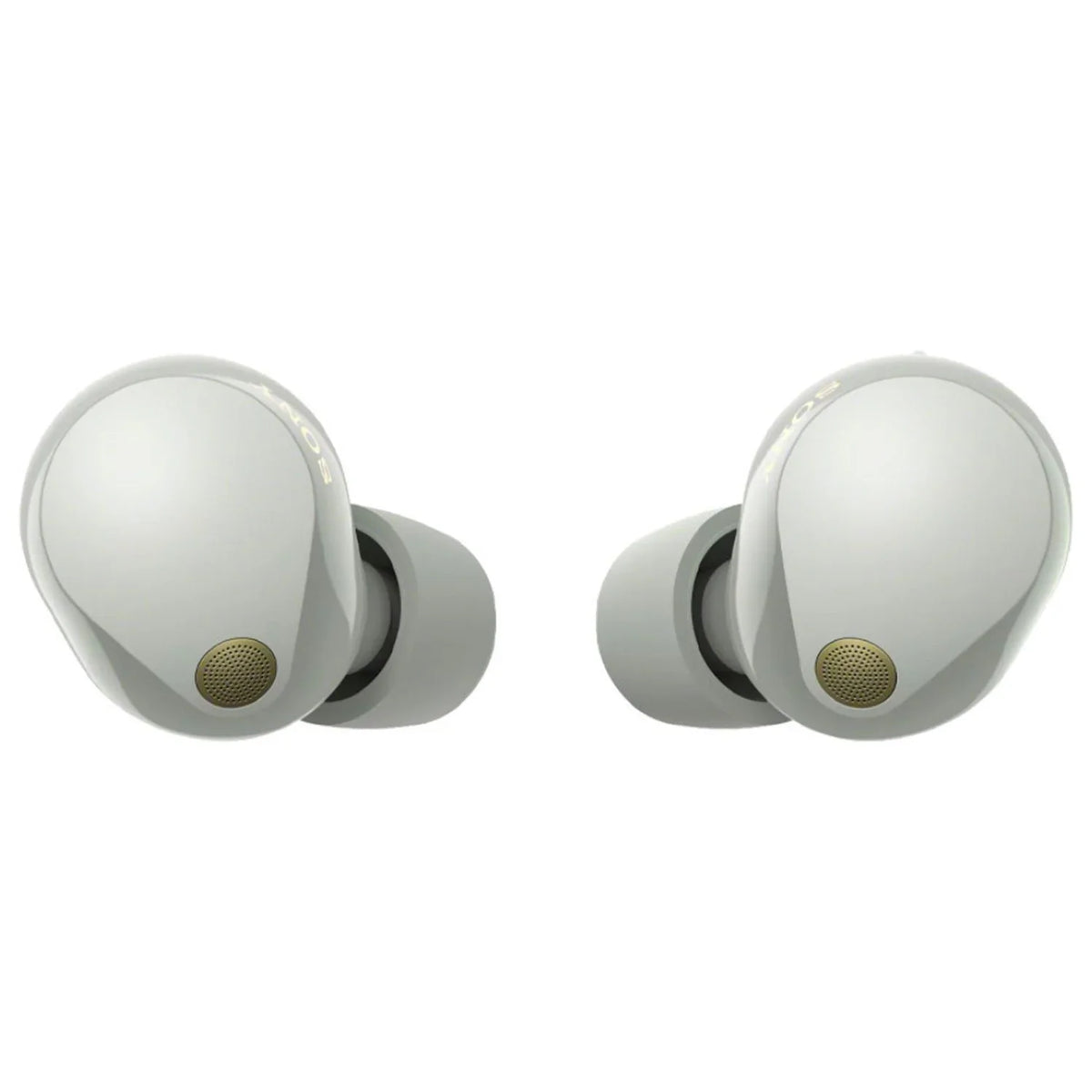 Sony Bundle Wireless Canceling Truly (Silver) Noise Earbuds WF-1000XM5