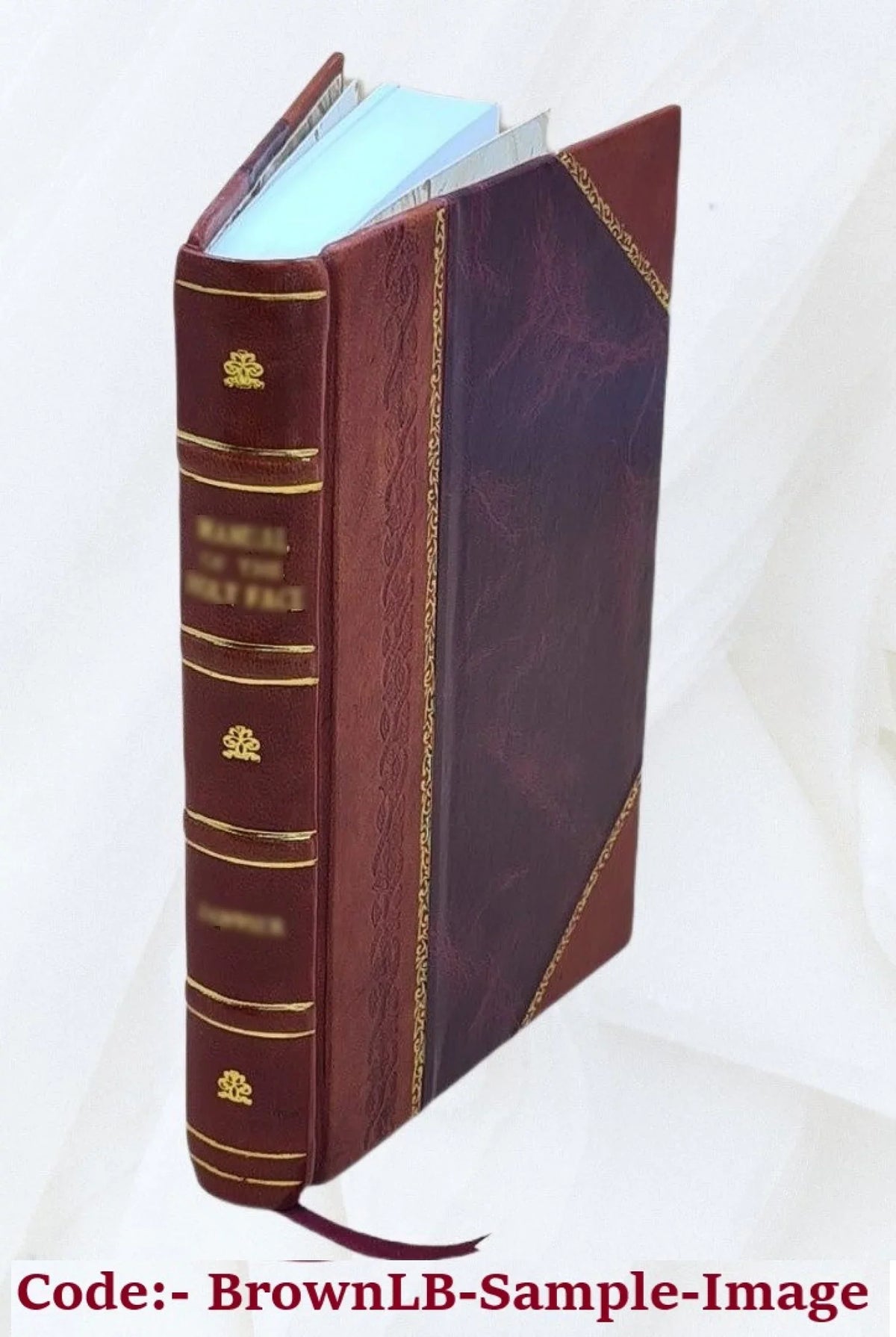 1910 Child Bound] sixth meeting annual employing of Proceedings Child National the Labor industries. [Leather Committee the of