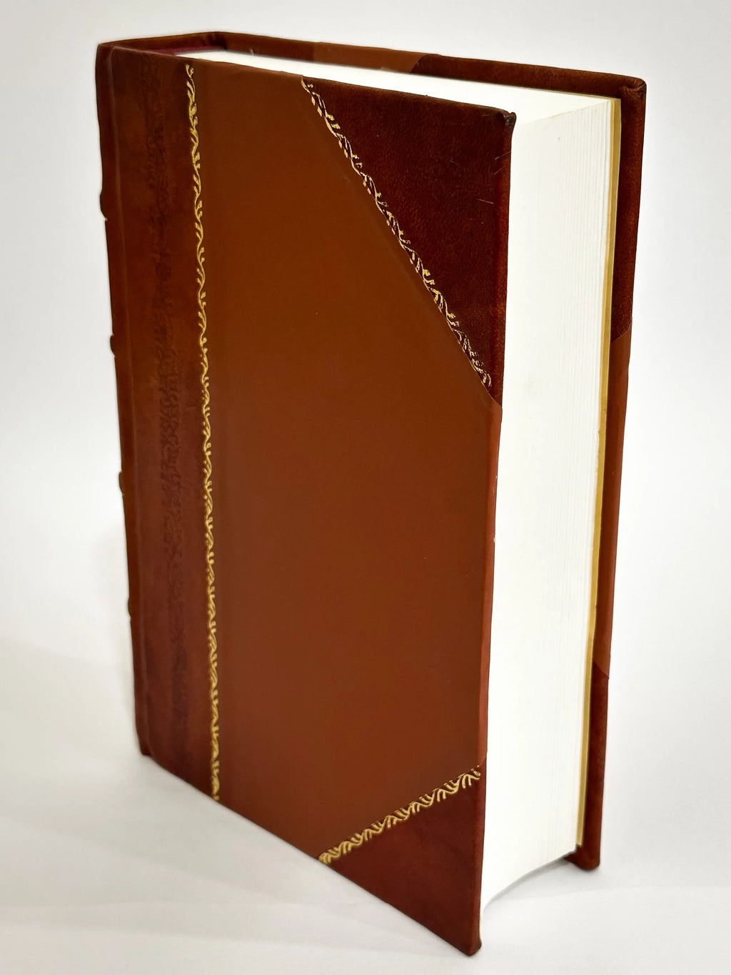 Des SzePmuVeSzeti MuseE [Leather Bound] (1906) Du / Budapest (Hungary),TeRey, (1906) Anciens Beaux-Arts GaBor MuZeum Tableaux De