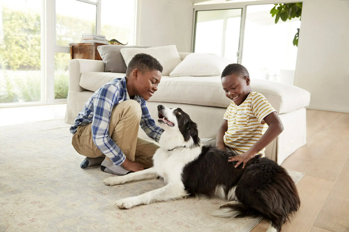 1500 by Reduction Viruses, Captures Allergen Allergens, 20x22x1, MPR, Air HVAC 3M, 4 12, Bacteria, Filtrete Advanced Filter, Furnace MERV Filters
