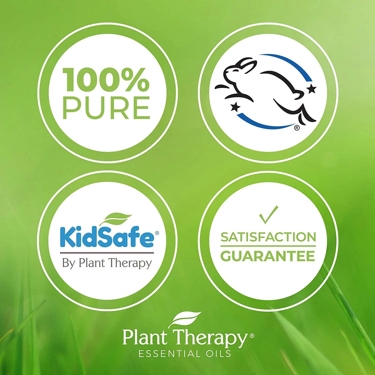 Oil Pure, Sleep KidSafe mL Night Plant 100% for Natural Nighty Aromatherapy Blend Therapy Essential 30 oz) (1 Undiluted,