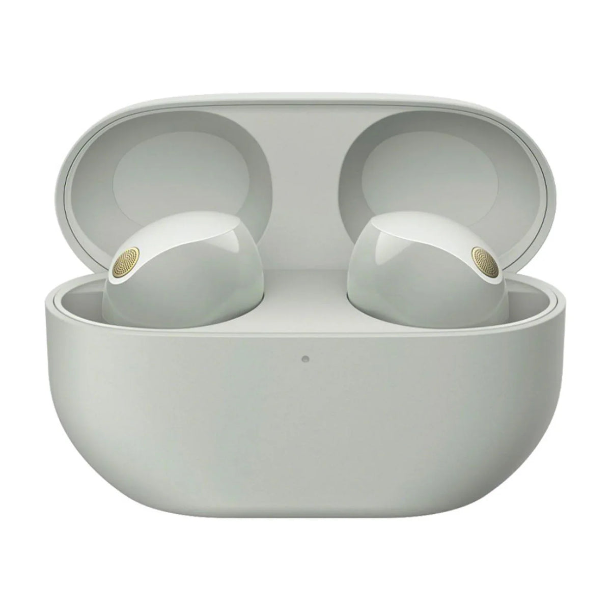 Sony Bundle Wireless Canceling Truly (Silver) Noise Earbuds WF-1000XM5